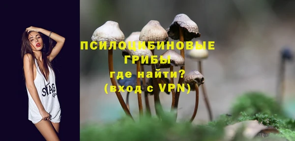 СК Нея